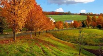 جاهای دیدنی استان مازندران در پاییز
